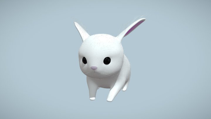 Cute Rabbit