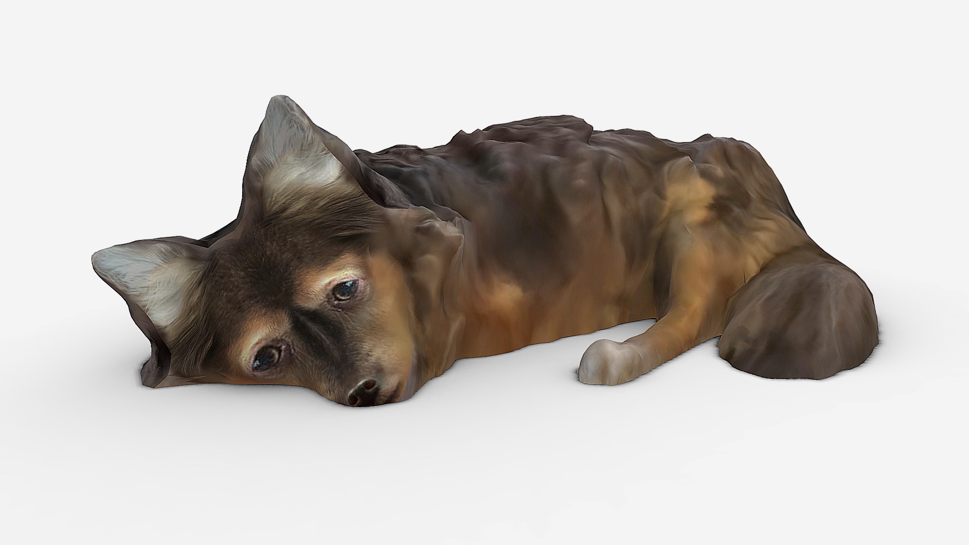 3D model DOG optimization - This is a 3D model of the DOG optimization. The 3D model is about a dog lying on a white surface.