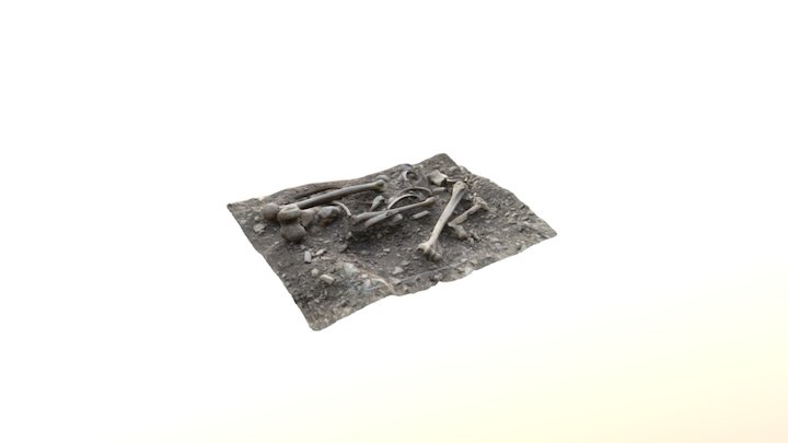 Fosa Bejis 3D Model