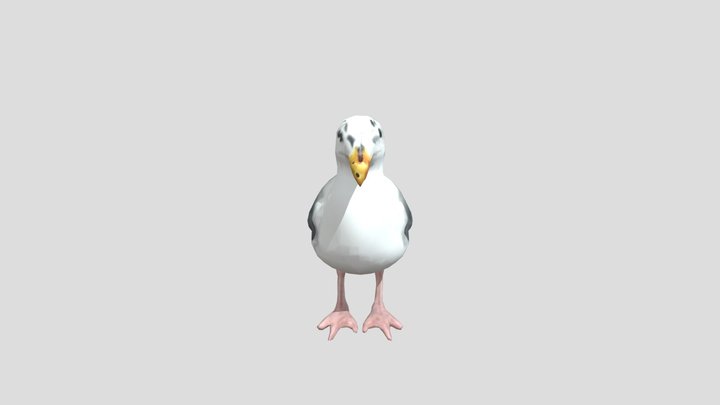 Bird 3D Model