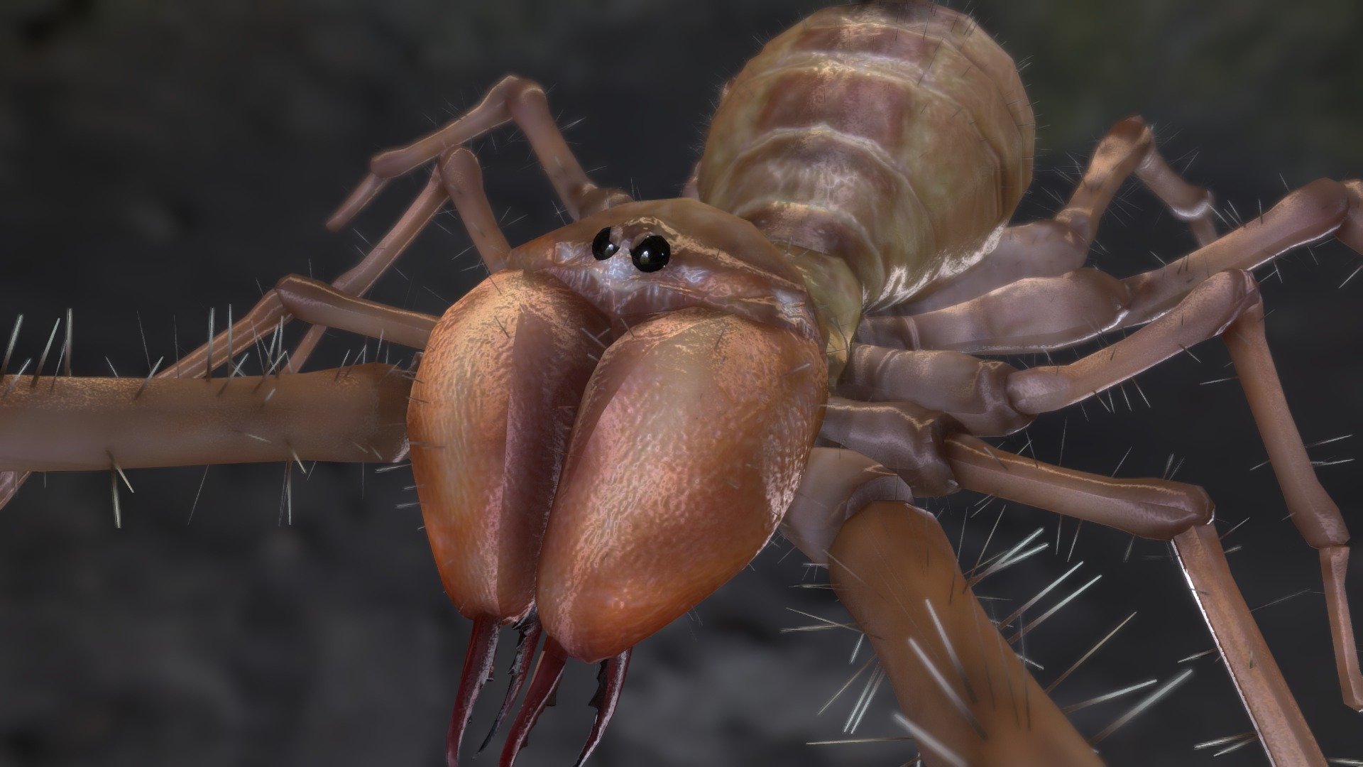 Camelspider — Sketchfab embed 3D viewer