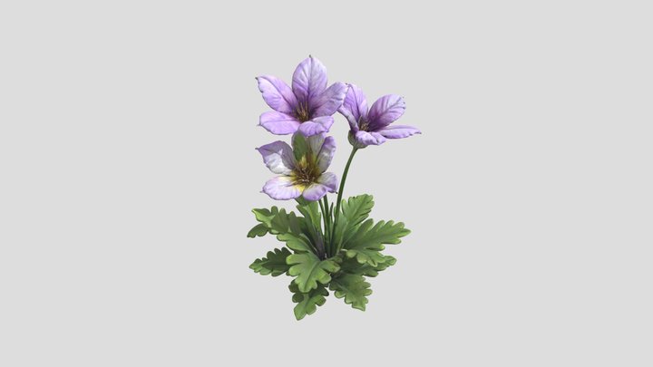 Viola Cryana 3D Model