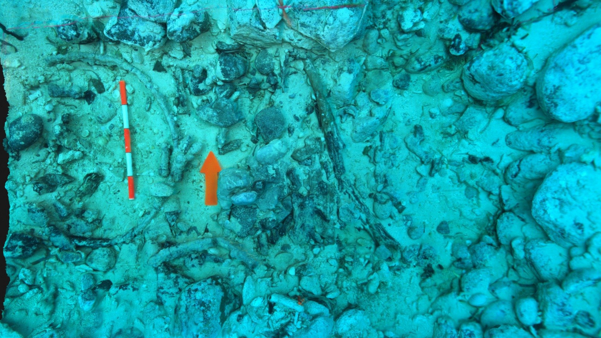 Shipwreck Excavation Units, Santa Clara Site