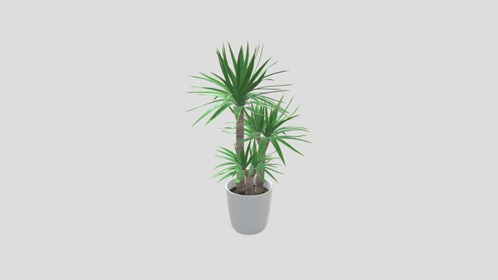 Yucca – Gratis 3D-model STL