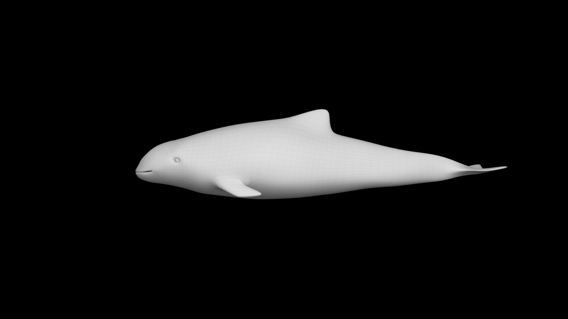 Model 76 - Dead Harbor Porpoise 1