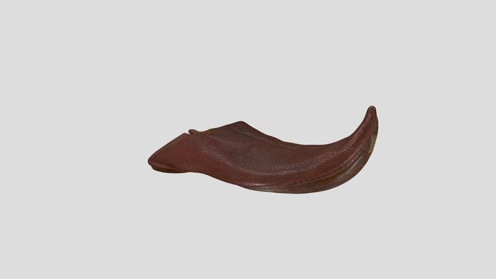 Malabarischer Lederschuh 3D Model