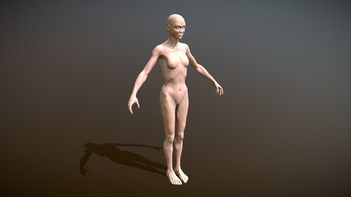 Female Anatomy Study Version 3 3D Model