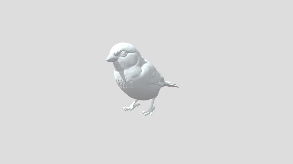 sparrow