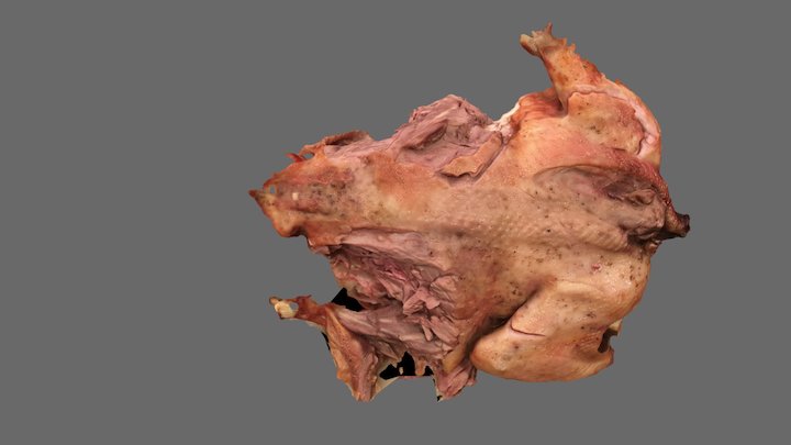 Thanksgiving Turkey 2017 3D Model