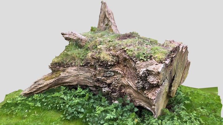 Home Farm - Log 3D Model