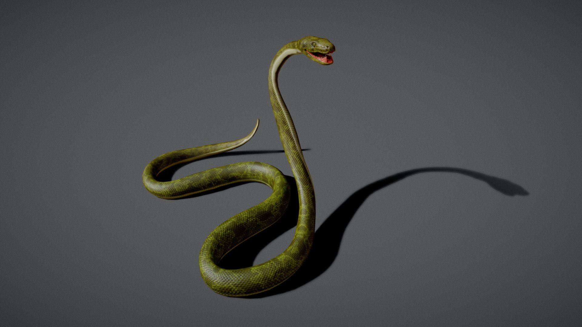 Grass Snake 3D model - Baixar Animais no