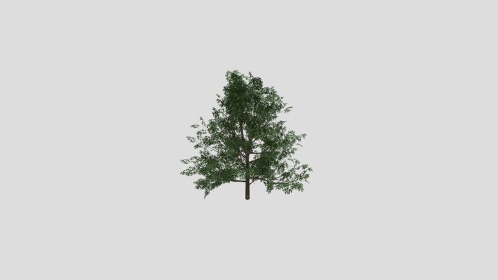 tree2bn3c 3D Model