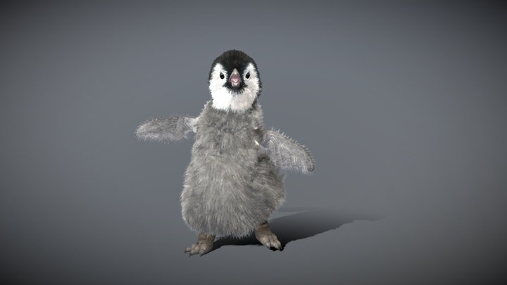 Baby Emperor Penguin ( Chick ) 3D Model