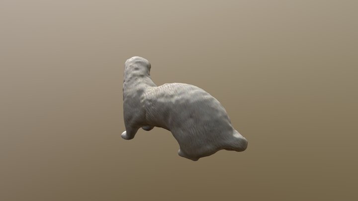 Ferret 3D Model