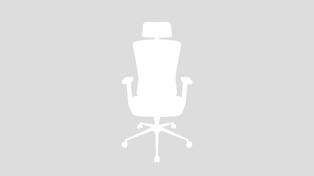 Modern Ergonomic Office Chair