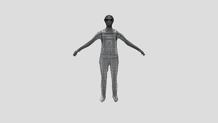 wireframe 3D Model