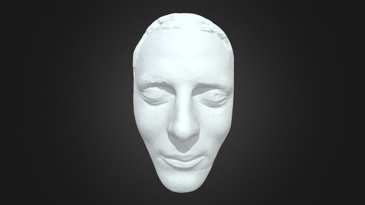 Joseph Smith Death Mask 3D Model