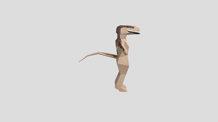 Ridma 3D Model