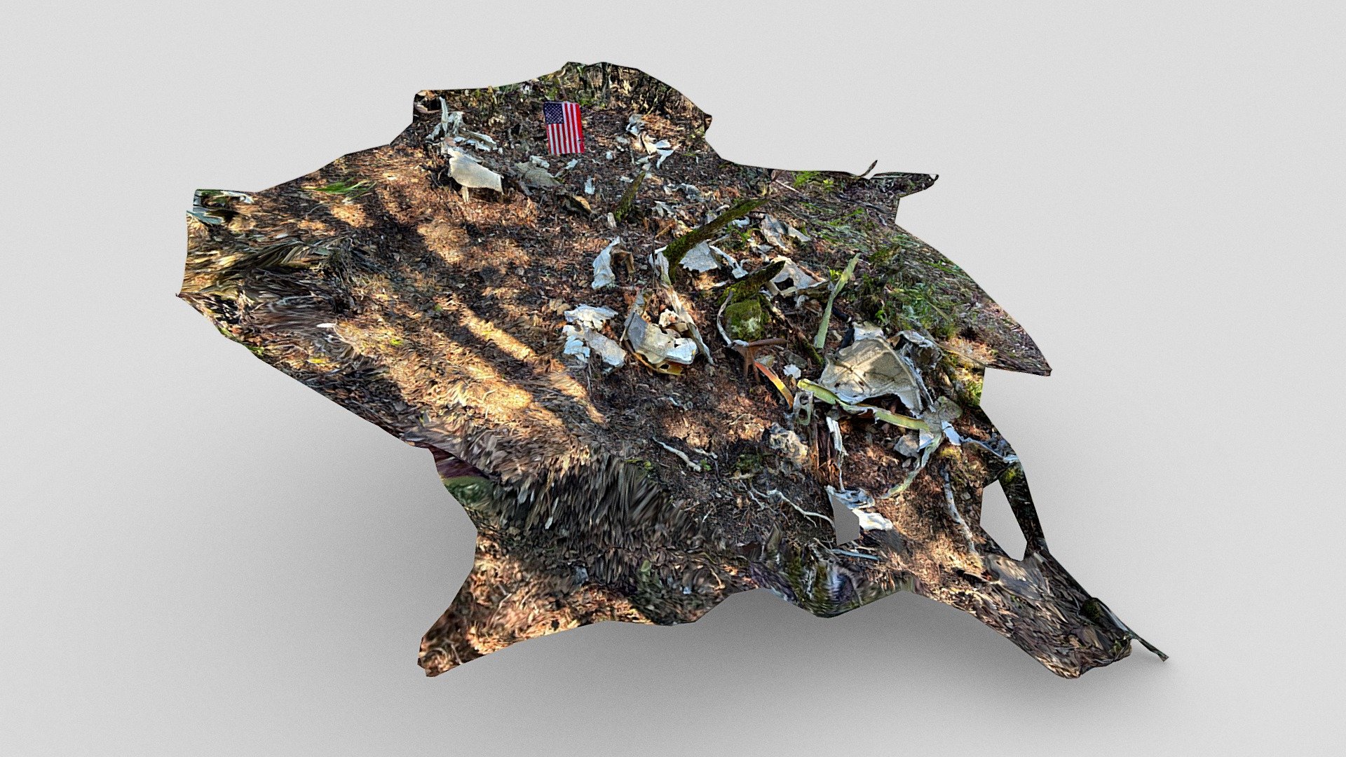 Mount Tamalpais Aircraft Crash Site