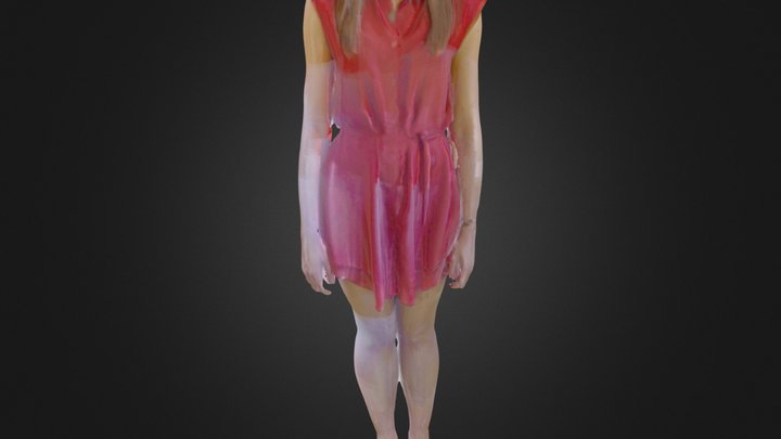 holly 3D Model