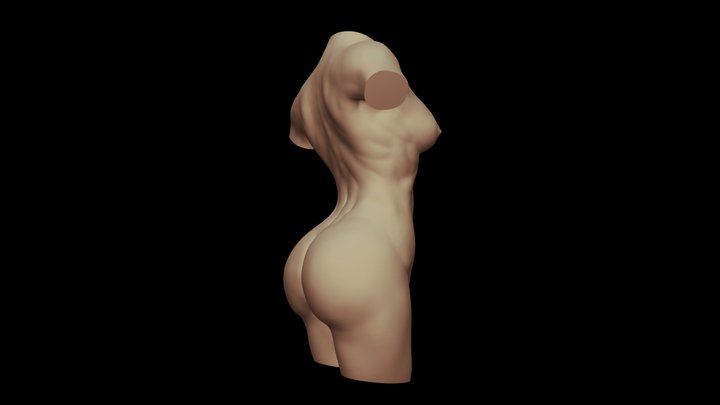 Torso Female V04 3D Model