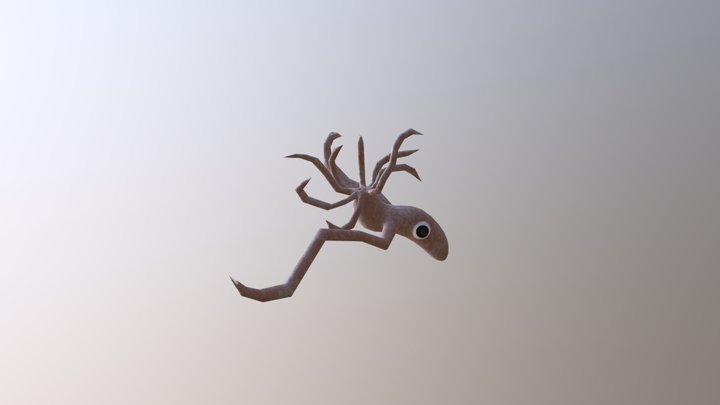 squid test 3D Model