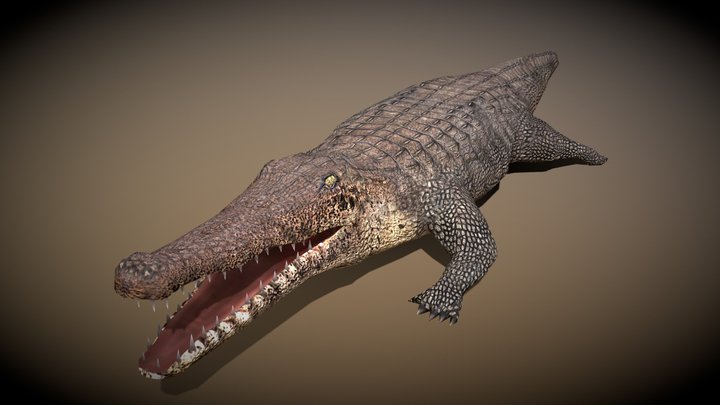 3DRT - Safari animals - Crocodile 3D Model