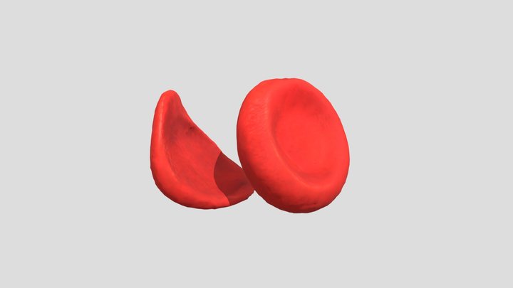 Sickle and Healthy Red Blood Cells 3D Model
