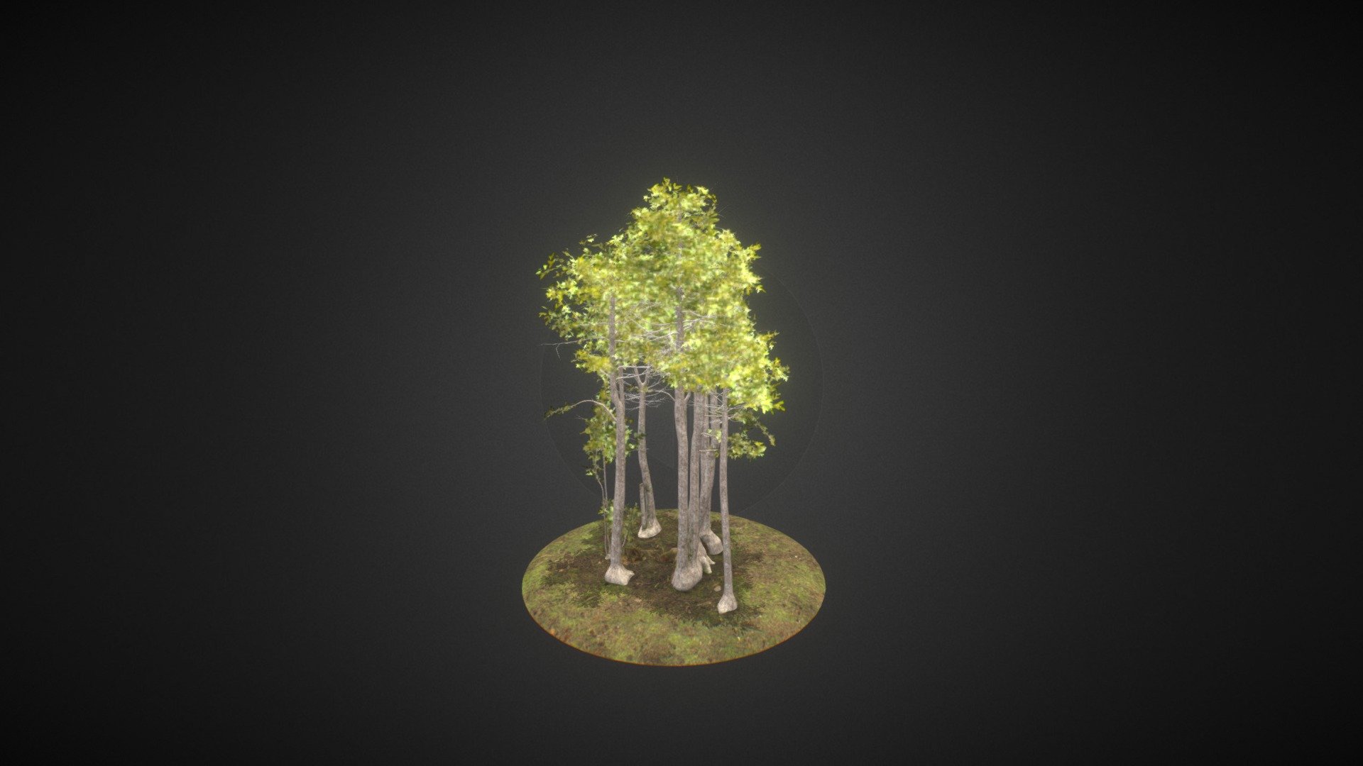 Elder ENT Queule3 Replica - 3D model by endangeredtokens [b9eccf2 ...