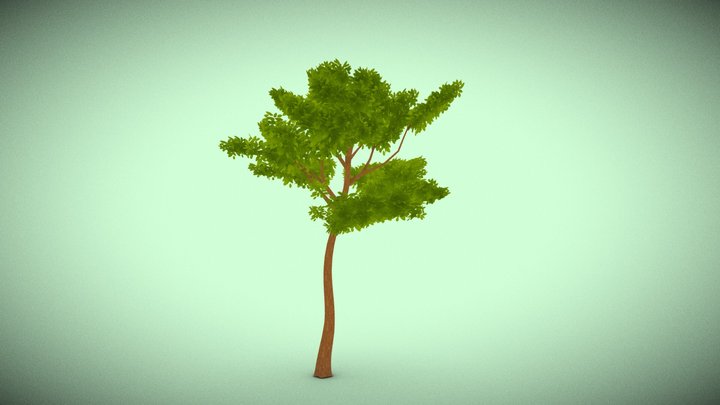 stylized tree 3D Model