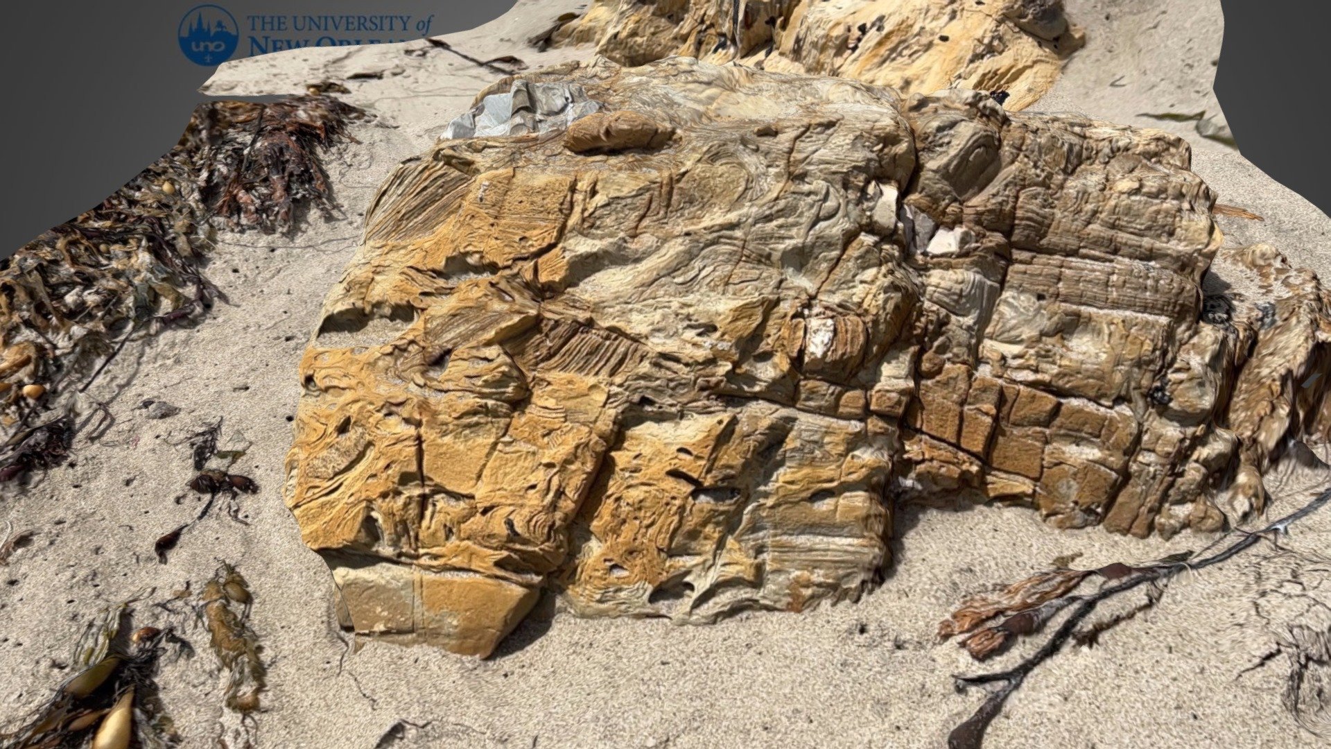 Coal oil beach boulder
