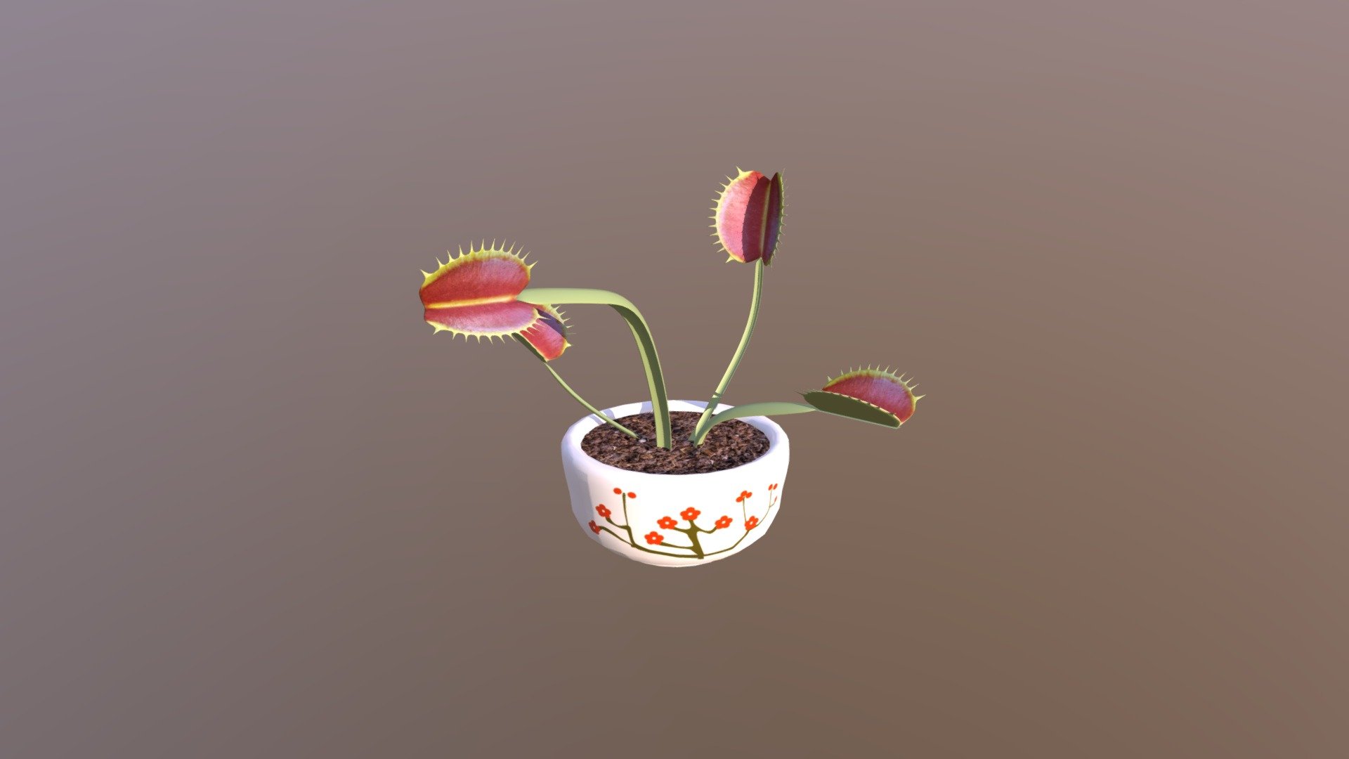 Venus Fly Trap