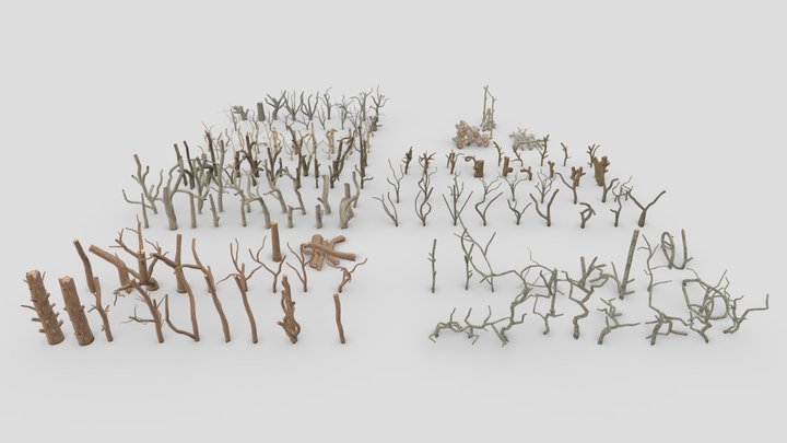 Branch- 01-202 3D Model