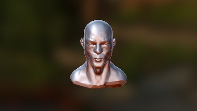 Facesculpt2 3D Model