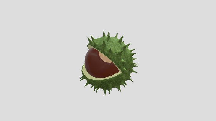 Chestnut 3D Model