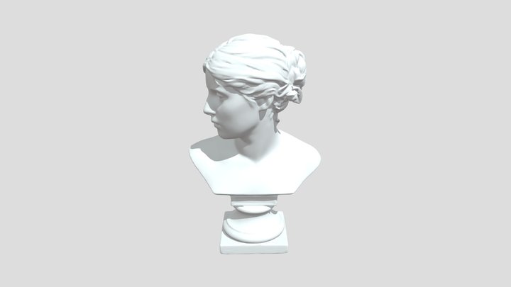 Bust of Róża Loewenfeld (White) 3D Model