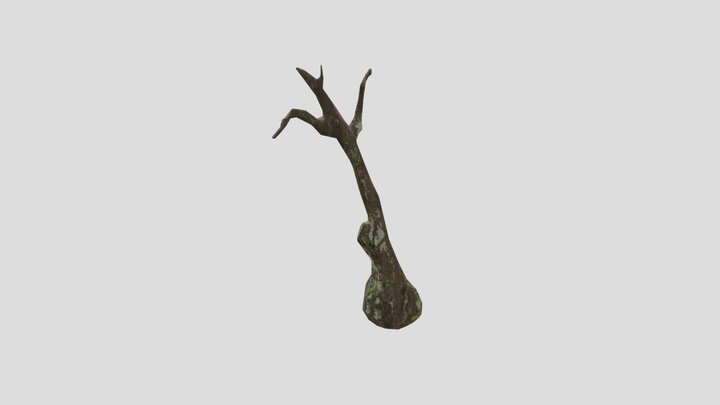 Tree 04 Low 3D Model