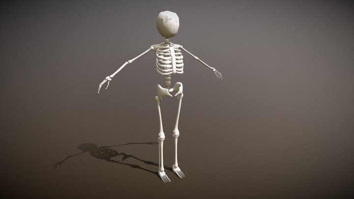 Skeleton – Kostenloses 3D-Modell STL