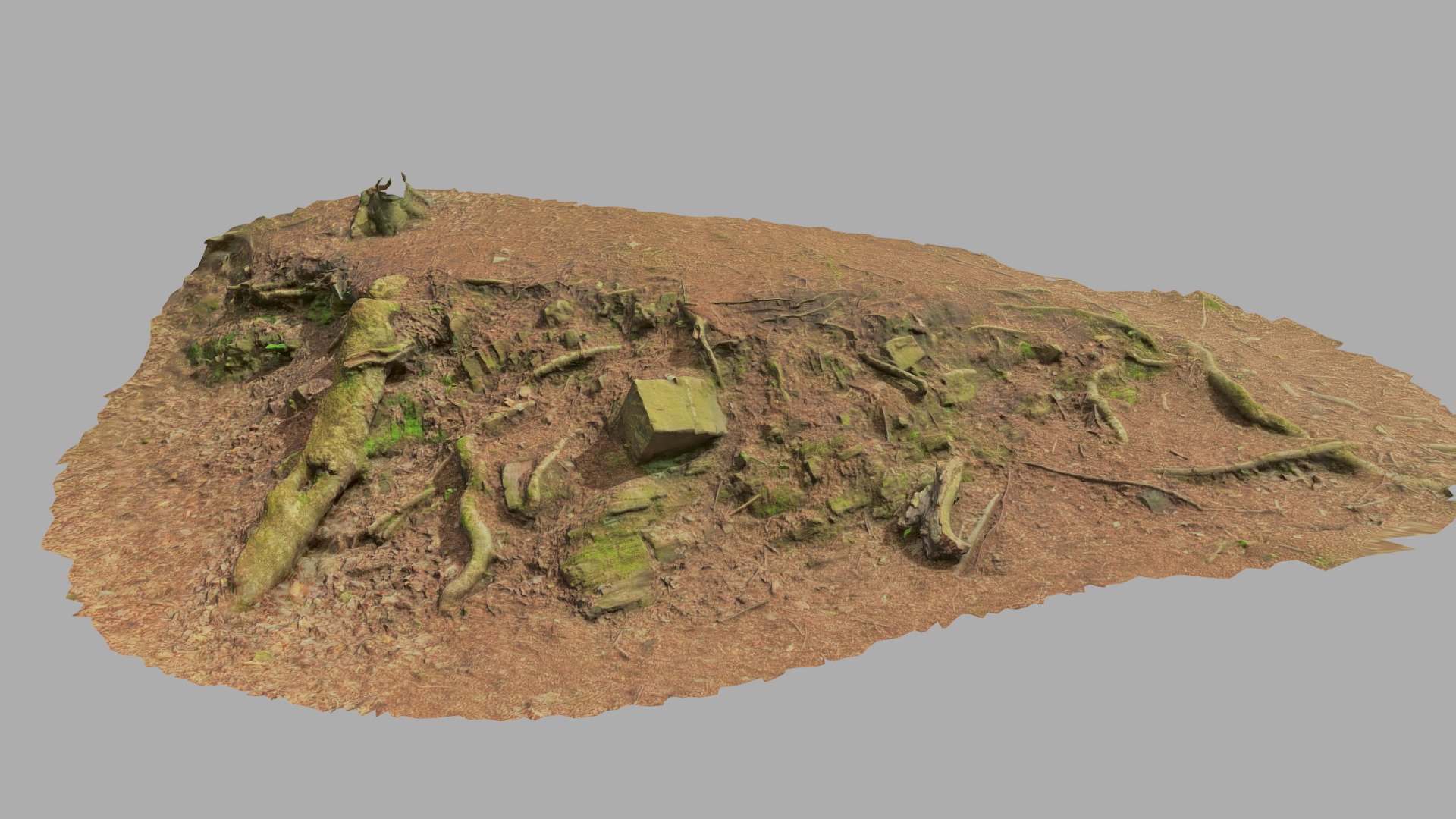 Ground Slope rocky root forest Scan