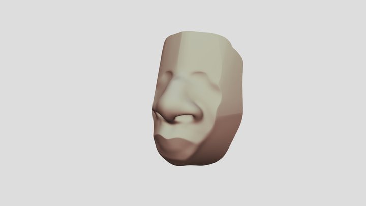 Nose practice 3D Model