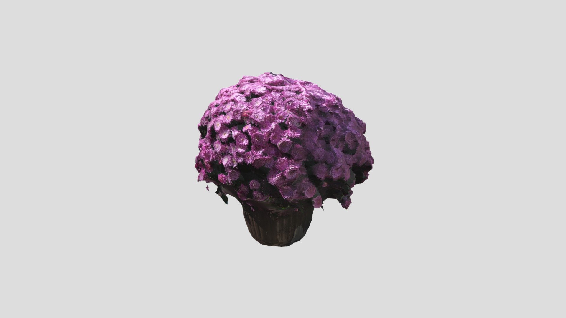Flower Test Simplified 10000 - TNH