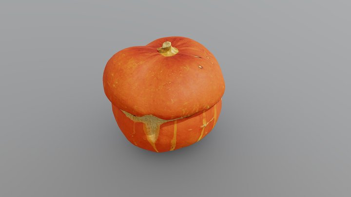 Turban Squash Pumpkin 3D Model