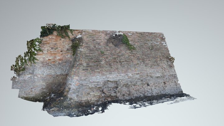Prova muro 3D Model