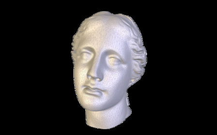 Head Sculpture - 90% reduced (Vizup demo) 3D Model