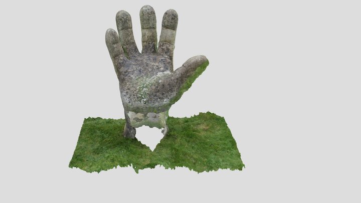 Free Hand 3D Model