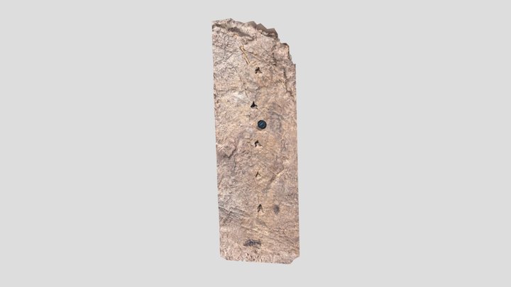 Dinosaur tracks Saurichnium tetractis 3D Model