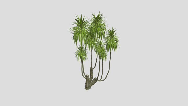 Palm – Free 3D Model STL