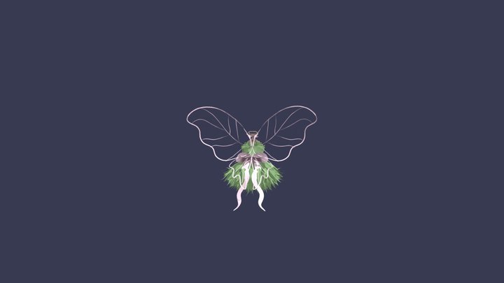 Fairy Dress 3D Model