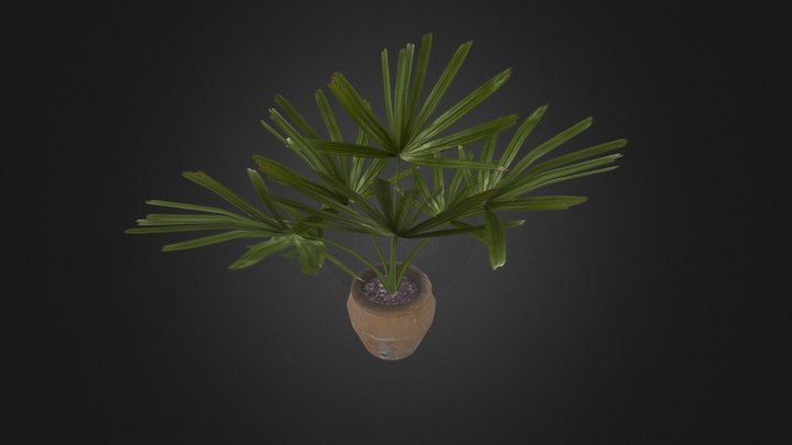 potted_plant-2 3D Model