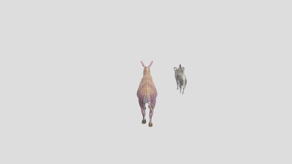 Donkey+wild+boar+and+rabbit